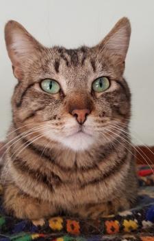 Kiko Bild von Kiko