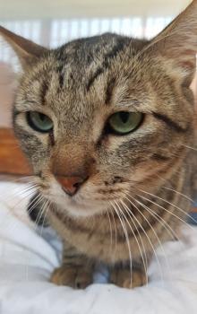 Kiko Bild von Kiko