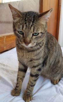 Kiko Bild von Kiko