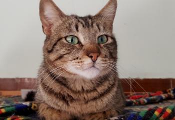 Kiko Bild von Kiko