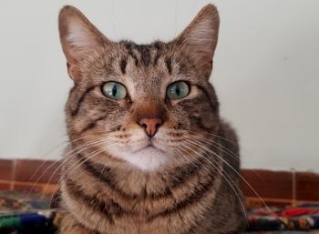 Kiko Bild von Kiko