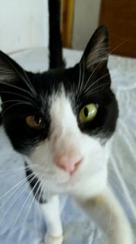 Eneko Bild von Eneko