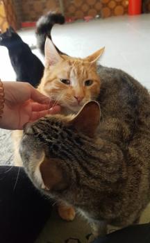 Thomas Bild von Thomas