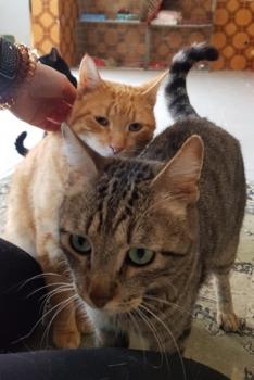 Thomas Bild von Thomas