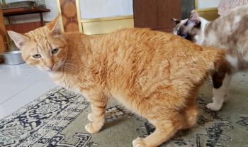 Thomas Bild von Thomas