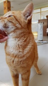 Thomas Bild von Thomas