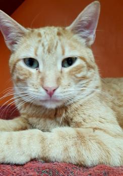 Thomas Bild von Thomas