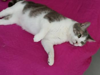 Selina Bild von Selina