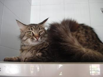 Pia Bild von Pia