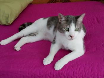Selina Bild von Selina