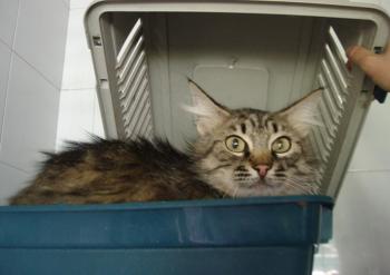 Pia Bild von Pia