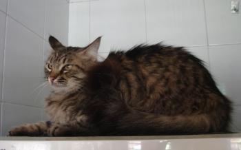Pia Bild von Pia