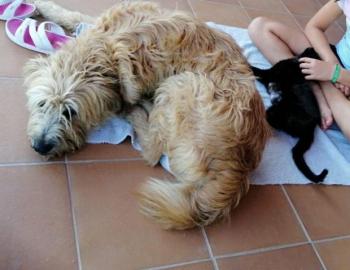 Lina Bild von Lina