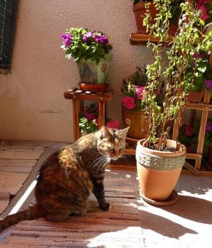 Silwa Bild von Silwa