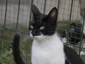 Hilda Bild von Hilda