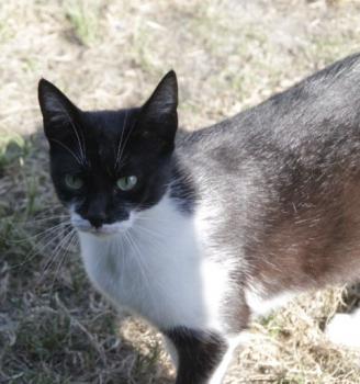 Hilda Bild von Hilda