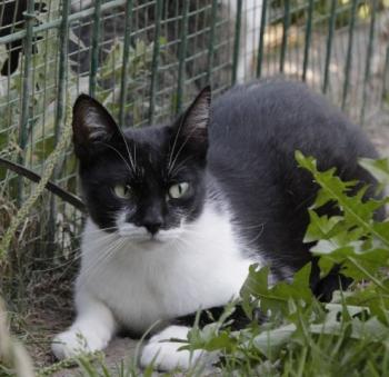 Hilda Bild von Hilda