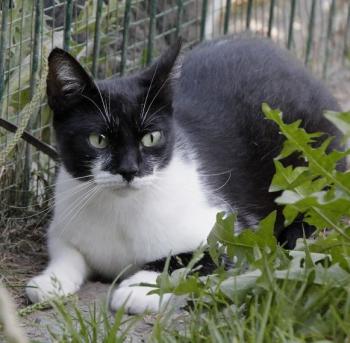 Hilda Bild von Hilda