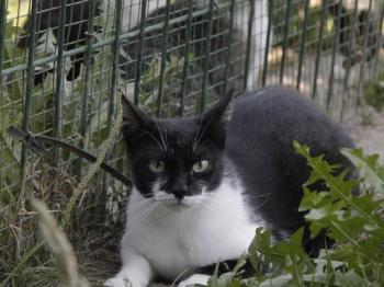 Hilda Bild von Hilda