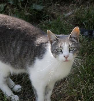 Abigail Bild von Abigail