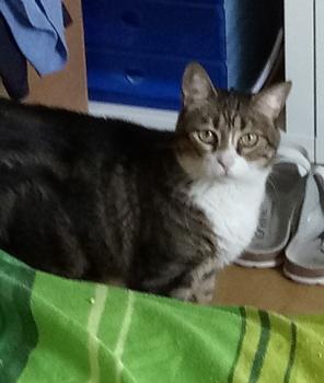 Eguzki Bild von Eguzki