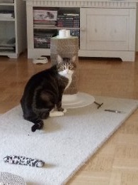Eguzki Bild von Eguzki