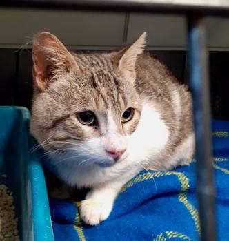 Marlon Bild von Marlon