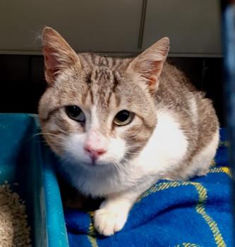 Marlon Bild von Marlon