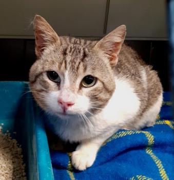 Marlon Bild von Marlon