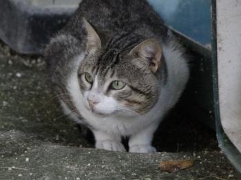 Marlon Bild von Marlon