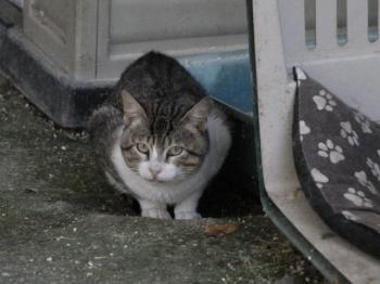 Marlon Bild von Marlon