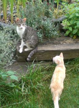 Bild von Hope
