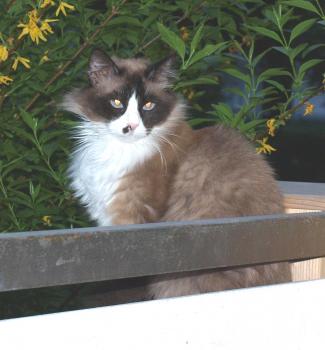 Lucrecia Bild von Lucrecia