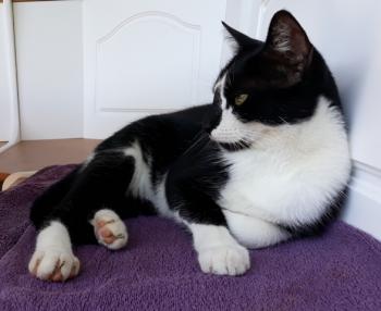 Haruki Bild von Haruki