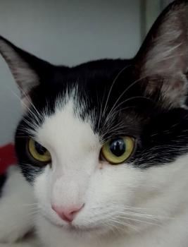 Fuente Bild von Fuente