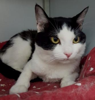 Fuente Bild von Fuente