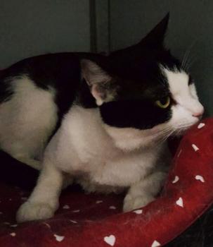 Fuente Bild von Fuente