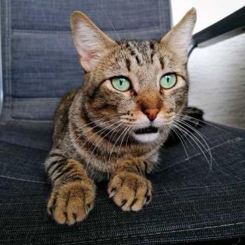 Kiko Bild von Kiko