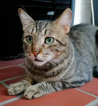 Kiko Bild von Kiko