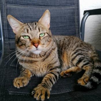Kiko Bild von Kiko