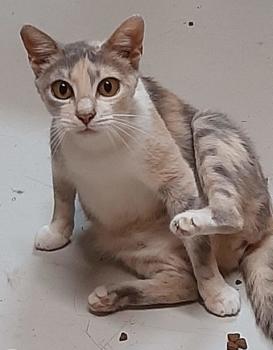 La Guapa Bild von La Guapa