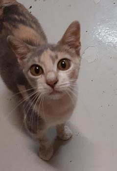 La Guapa Bild von La Guapa