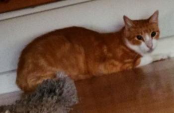 Charly Bild von Charly