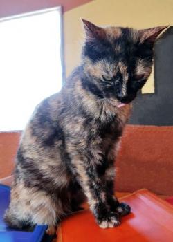 Alaska Bild von Alaska