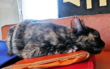 Alaska Bild von Alaska