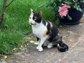 Gunilla Bild von Gunilla