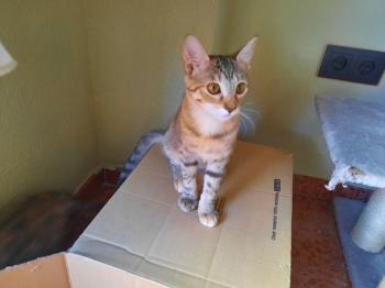 Irena Bild von Irena