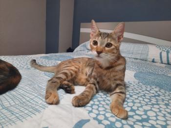 Irena Bild von Irena