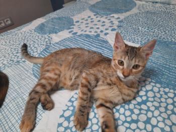 Irena Bild von Irena