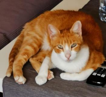 Charly Bild von Charly